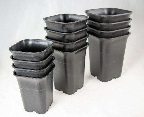 Mixed Square Black Plastic Cascade Bonsai Training Pots - 3.25