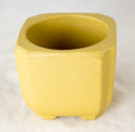 Vintage Square Zisha Mame Bonsai Pot + Mesh - 2.75