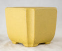 Vintage Square Zisha Mame Bonsai Pot + Mesh - 2.75