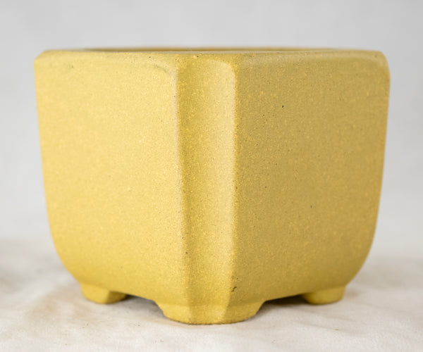 Vintage Square Zisha Mame Bonsai Pot + Mesh - 2.75