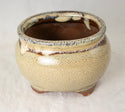 Oval Beige Mini Mame Bonsai Pot + Mesh - 3.5