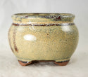 Oval Beige Mini Mame Bonsai Pot + Mesh - 3.5