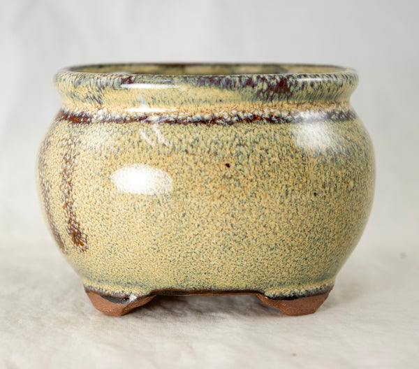 Oval Beige Mini Mame Bonsai Pot + Mesh - 3.5