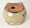 Oval Beige Mini Mame Bonsai Pot + Mesh - 3.5
