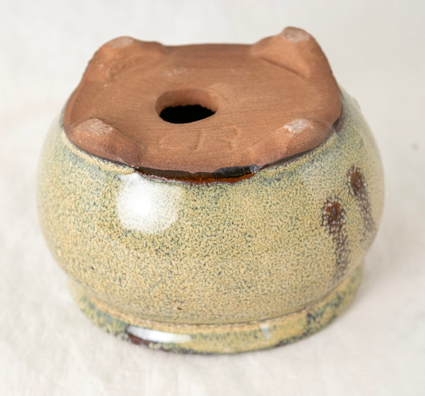 Oval Beige Mini Mame Bonsai Pot + Mesh - 3.5