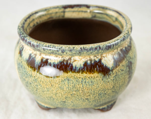 Oval Beige Mini Mame Bonsai Pot + Mesh - 3.5