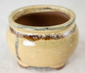 Oval Beige Mini Mame Bonsai Pot + Mesh - 3.5