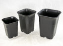 Mixed Square Black Plastic Cascade Bonsai Training Pots - 3.25