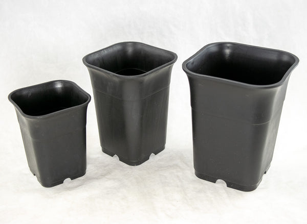 Mixed Square Black Plastic Cascade Bonsai Training Pots - 3.25