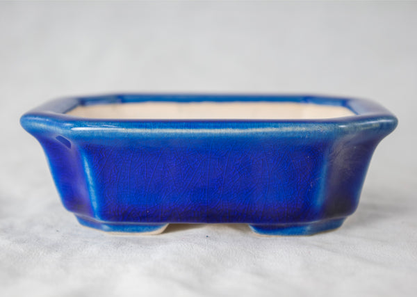 Rectangular Glazed Mame Bonsai Pot + Mesh 4.25