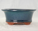 Shohin Oval Glazed Bonsai Pot + Soil + Tray + Rock + Mesh Kit
