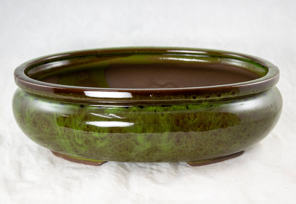 Oval Bonsai Pot + Tray + Mesh 12