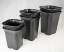 Mixed Square Black Plastic Cascade Bonsai Training Pots - 3.25