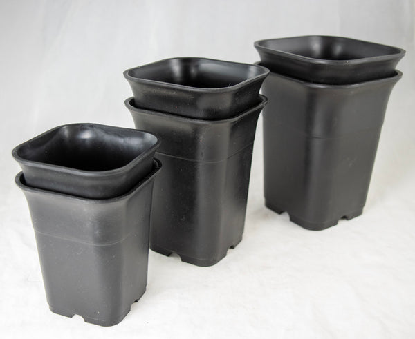 Mixed Square Black Plastic Cascade Bonsai Training Pots - 3.25