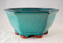 Fine Hexagon Glazed Bonsai Pot with Mesh - 7.5