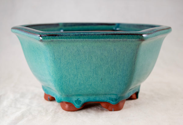 Fine Hexagon Glazed Bonsai Pot with Mesh - 7.5