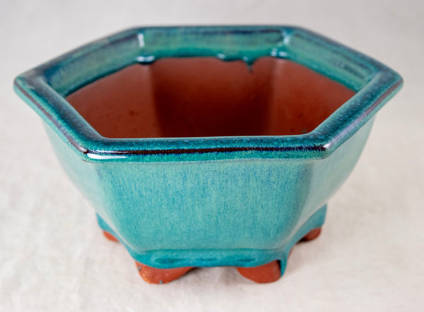 Fine Hexagon Glazed Bonsai Pot with Mesh - 7.5