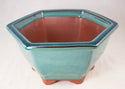 Fine Hexagon Glazed Bonsai Pot with Mesh - 7.5