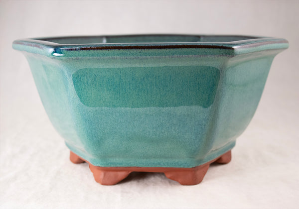 Fine Hexagon Glazed Bonsai Pot with Mesh - 7.5
