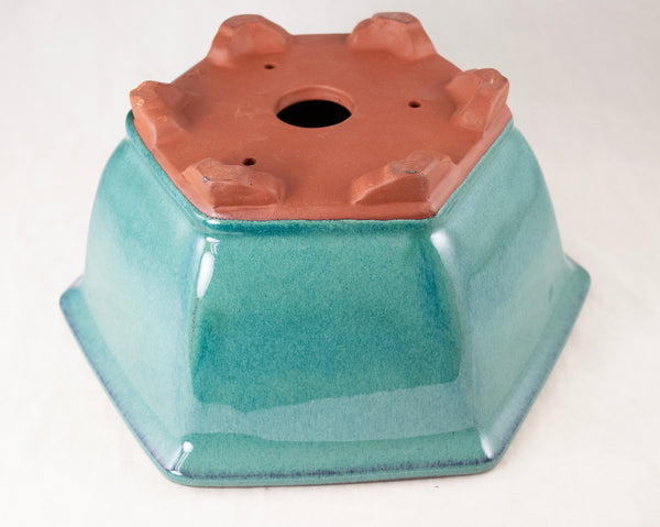 Fine Hexagon Glazed Bonsai Pot with Mesh - 7.5