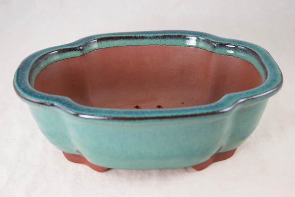 Fine Lotus Glazed Bonsai Pot with Mesh - 9.5