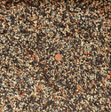 Premium Mixed Aroid Soil w/Kanuma, Ezo Sand, Keiseki, Charcoal & Compost - Small