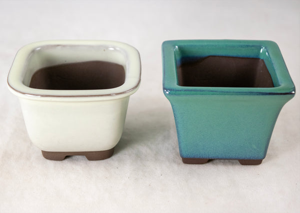 12 Pcs Assorted Japanese Yokkaichi Mame Bonsai Pots + Mesh