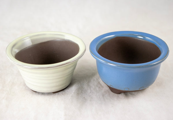 12 Pcs Assorted Japanese Yokkaichi Mame Bonsai Pots + Mesh
