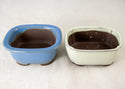 12 Pcs Assorted Japanese Yokkaichi Mame Bonsai Pots + Mesh