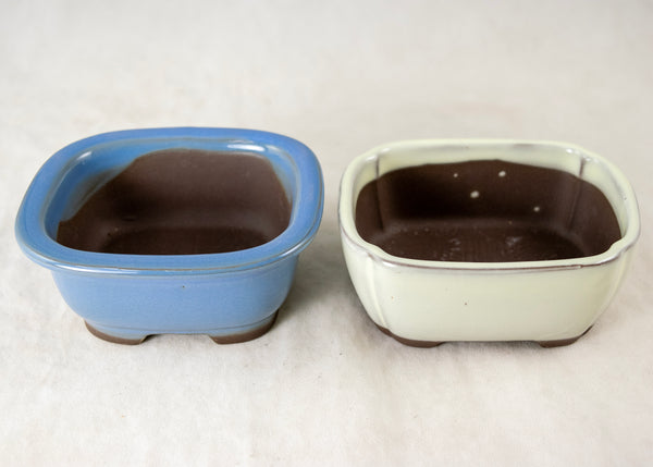 12 Pcs Assorted Japanese Yokkaichi Mame Bonsai Pots + Mesh