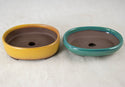 12 Pcs Assorted Japanese Yokkaichi Mame Bonsai Pots + Mesh