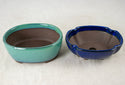 12 Pcs Assorted Japanese Yokkaichi Mame Bonsai Pots + Mesh