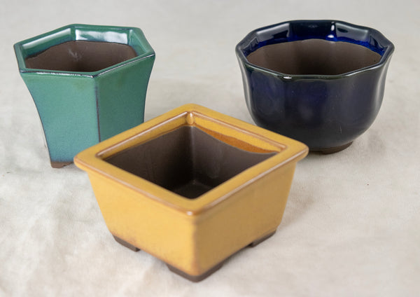 5 Assorted Japanese Yokkaichi Mame Bonsai Pots + Mesh 2.75