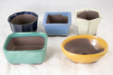 5 Assorted Japanese Yokkaichi Mame Bonsai Pots + Mesh 2.75