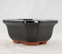 Glazed Shohin Accent Plants, Bonsai, Cactus Pot 5