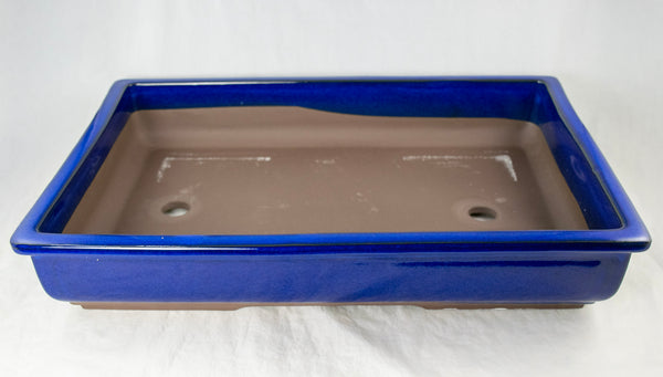 Japanese Yokkaichi Slim Forest & Raft Bonsai Pot 12.25