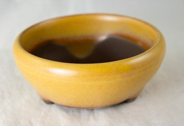 Japanese Yokkaichi Mustard Round Glazed Bonsai Pot 4.25