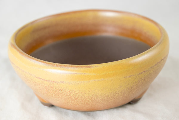 Japanese Yokkaichi Mustard Round Glazed Bonsai Pot 4.25
