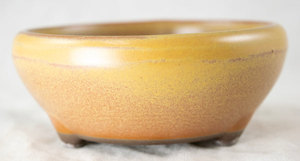 Japanese Yokkaichi Mustard Round Glazed Bonsai Pot 4.25