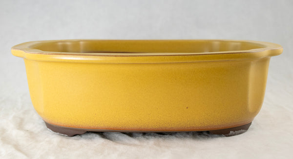 Japanese Yokkaichi Mustard Oval Glazed Bonsai Pot 10