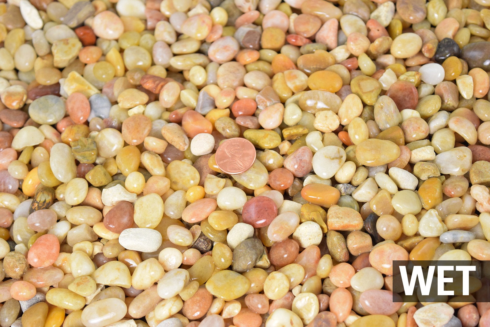 Natural Large Salmon Bay Pebbles - 3 lbs/9 lbs/ 30 lbs | Calibonsai Depot