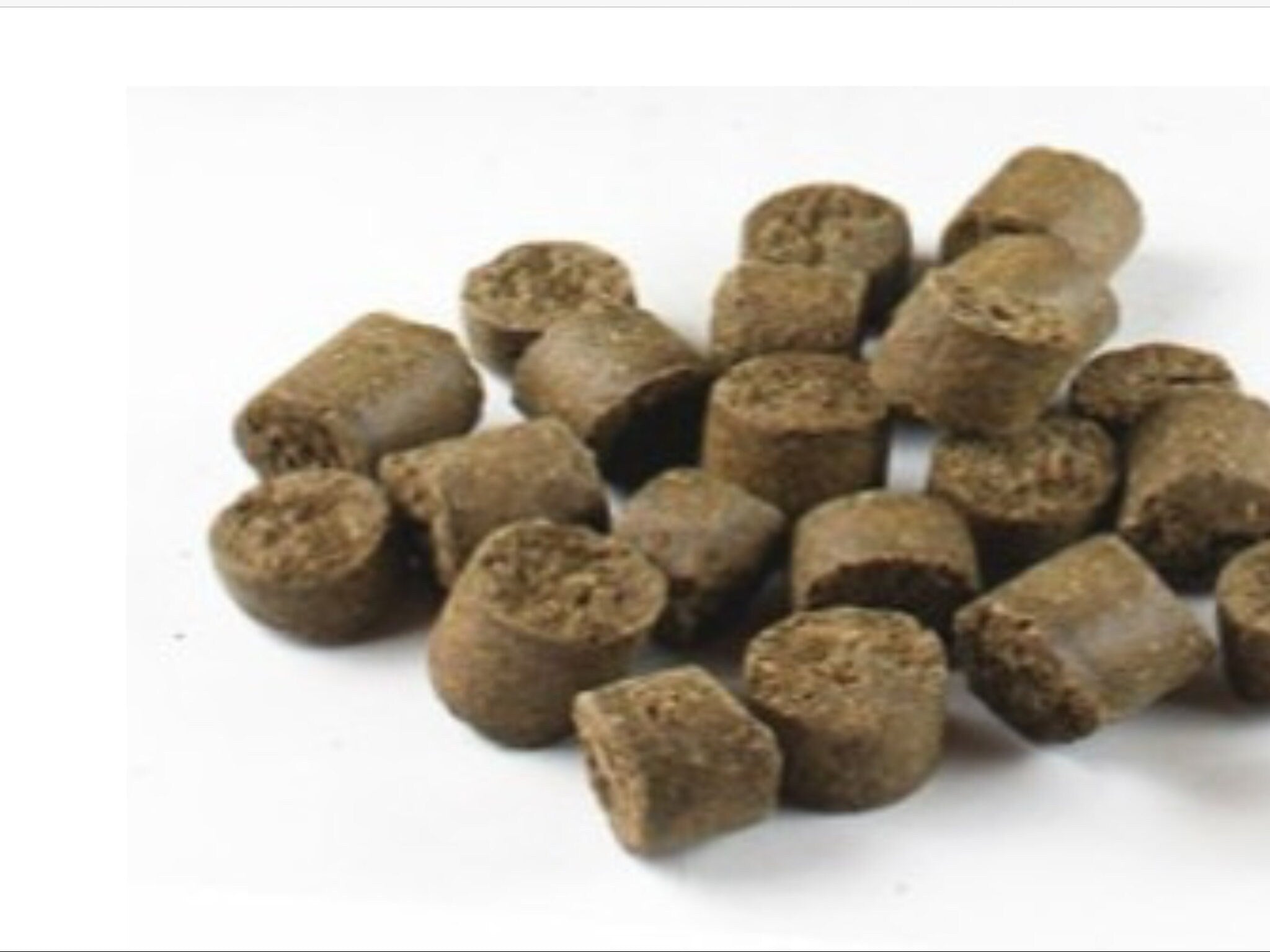 Organic Rapeseed Cake Japanese Tamahi Original Rapeseed Cake Natural Organic Fertilizer - 50 ...