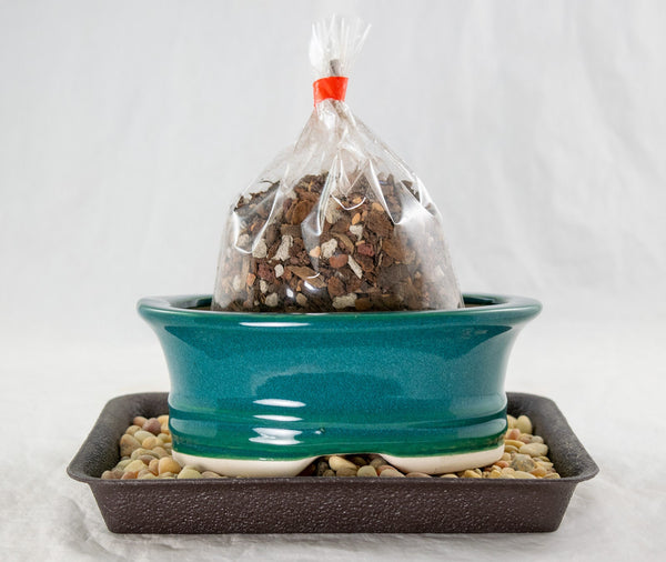 Shohin Oval Glazed Bonsai Pot + Soil + Tray + Rock + Mesh Kit