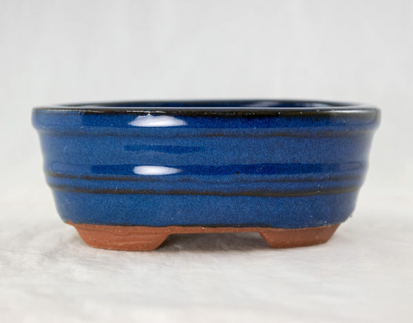 Oval Blue Glazed Shohin Bonsai Pot+ Mesh - 5