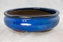 Oval Blue Glazed Bonsai Pot + Mesh 8