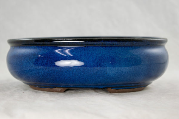 Oval Blue Glazed Bonsai Pot + Mesh 8