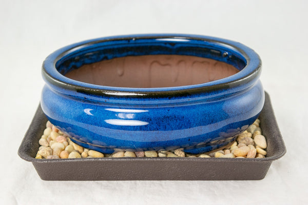 Oval Blue Glazed Shohin Bonsai Pot + Tray + Rock + Mesh Combo 5