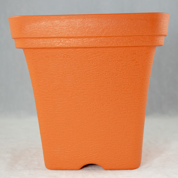 Square Orange Cascade Plastic Bonsai Training Pot 6.5