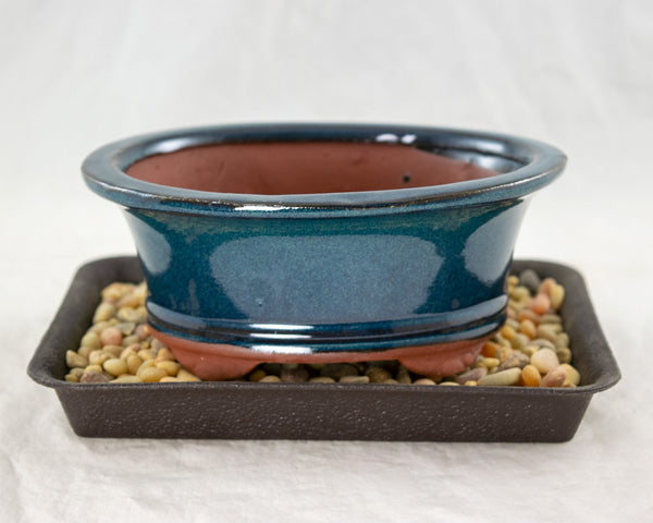 Oval Teal Green Mame Shohin Bonsai  Pot + Tray + Rock + Mesh Combo