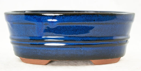 Oval Dark Blue Glazed Bonsai Pot + Mesh 8.25